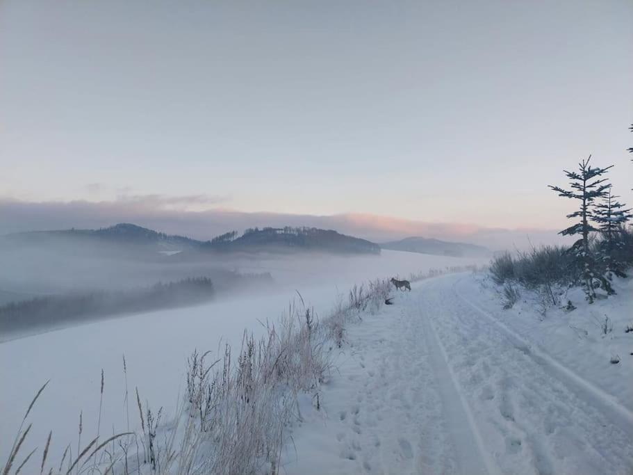 משדה Haus Julia Direkt Am Hennesee Mitten Im Sauerland מראה חיצוני תמונה